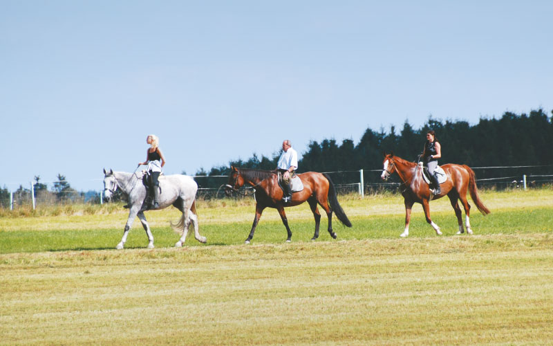 Reiten Vortuna Gesundheitsresort Bad Leonfelden